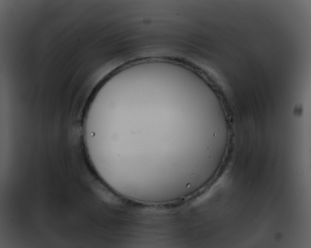 X0000101971073200807180721