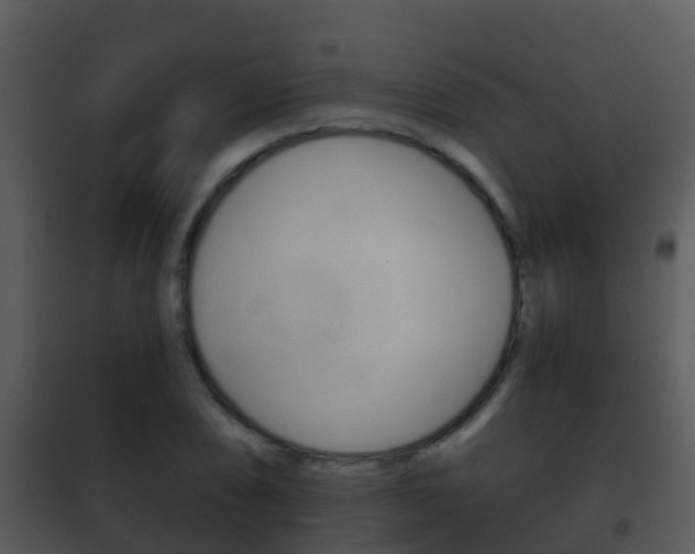 X0000101971074200807180721