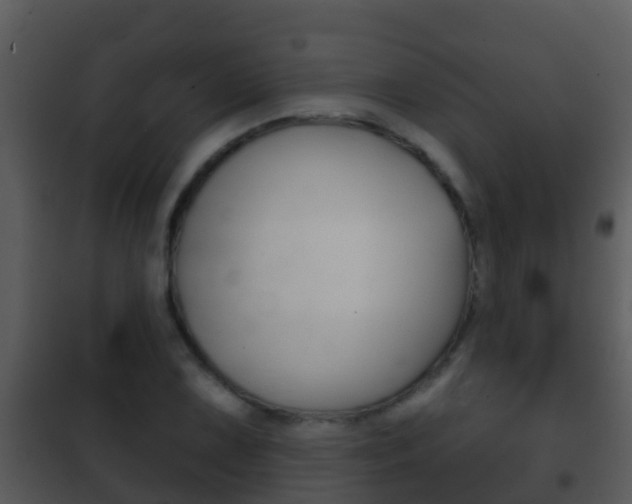 X0000101971075200807180721