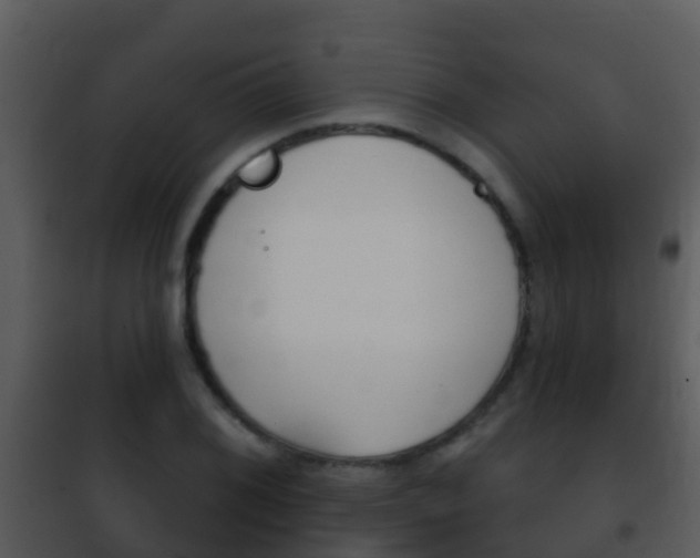 X0000101971076200807180721