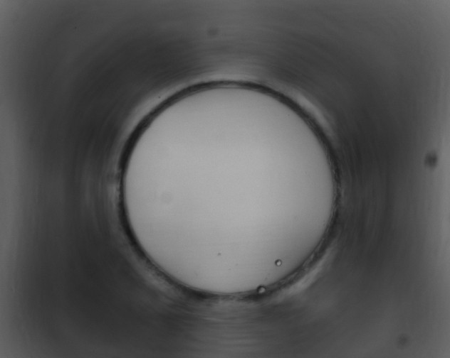 X0000101971077200807180721