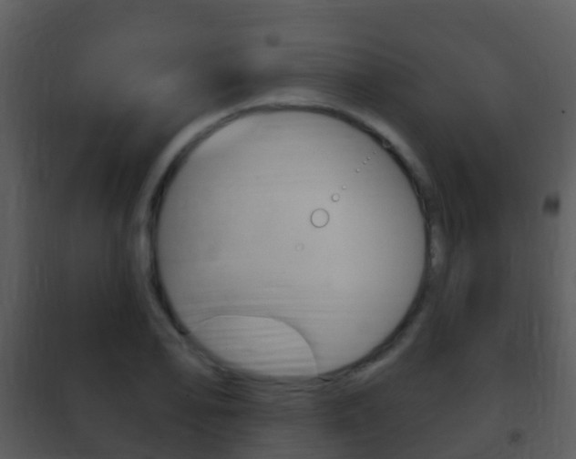 X0000101971078200807180721