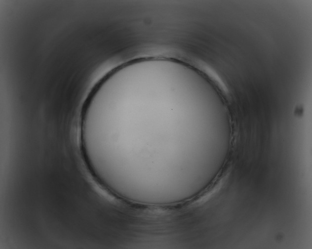 X0000101971079200807180721
