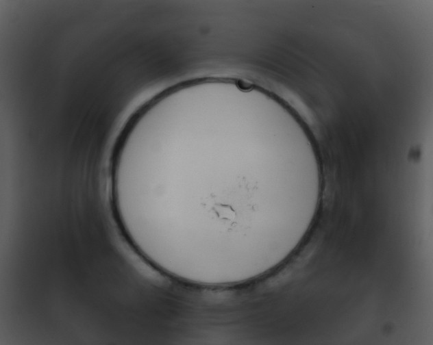 X0000101971080200807180721