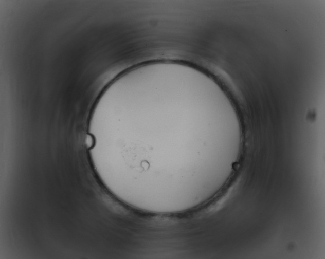 X0000101971081200807180721