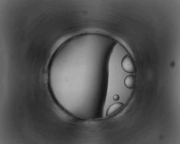 X0000101971082200807180721