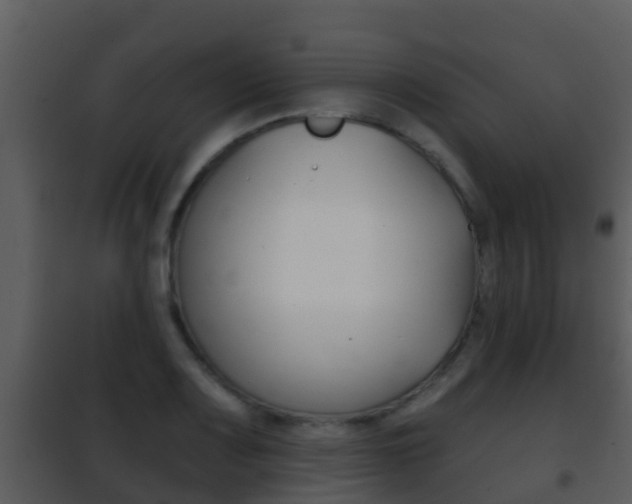 X0000101971083200807180721