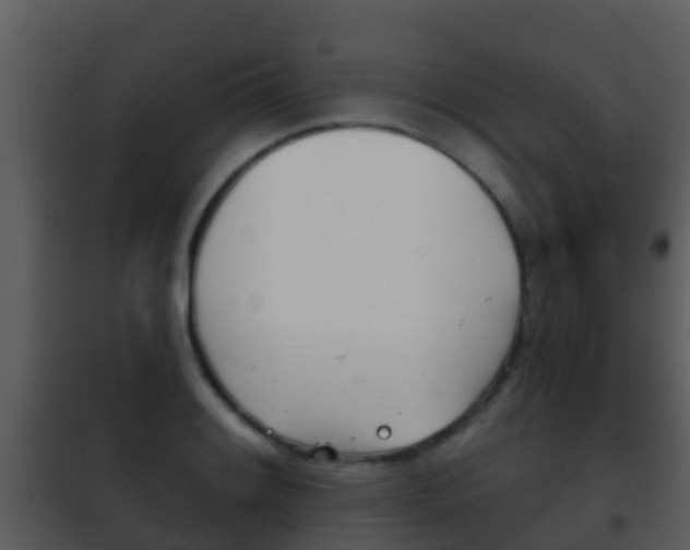 X0000101971084200807180721