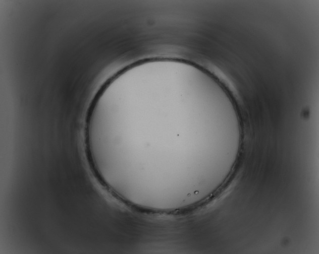 X0000101971085200807180721
