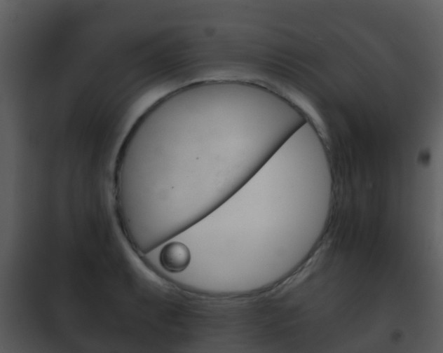 X0000101971087200807180721