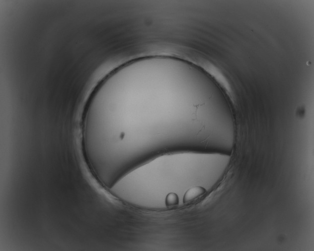 X0000101971088200807180721