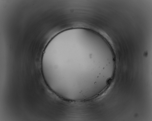 X0000101971089200807180721