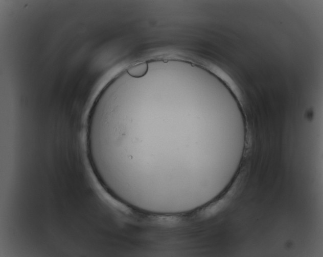 X0000101971090200807180721