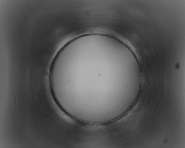 X0000101971091200807180721