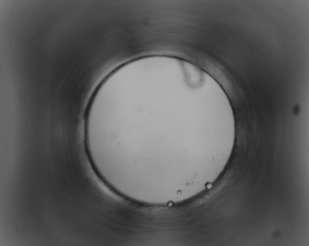X0000101971092200807180721