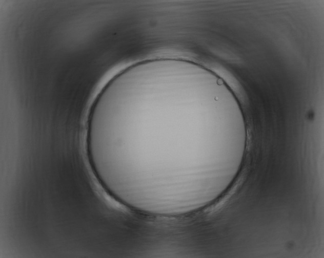 X0000101971094200807180721