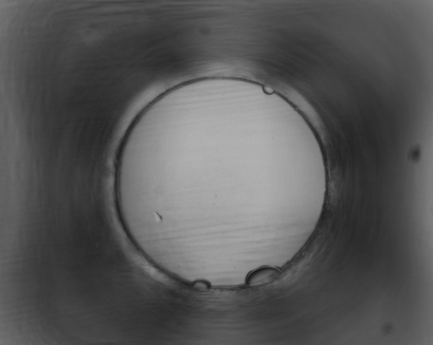 X0000101971096200807180721