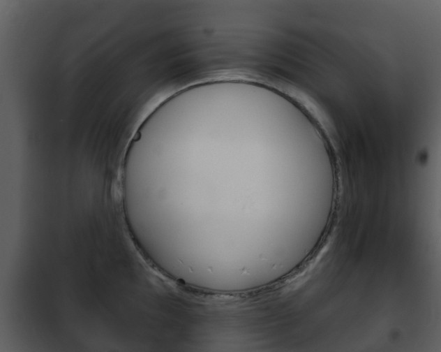 X0000101971097200807180721