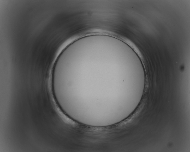 X0000101971098200807180721