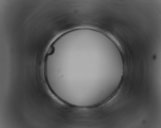 X0000101971100200807180721