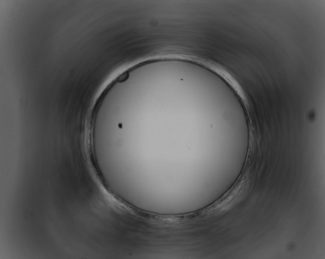 X0000101971101200807180721