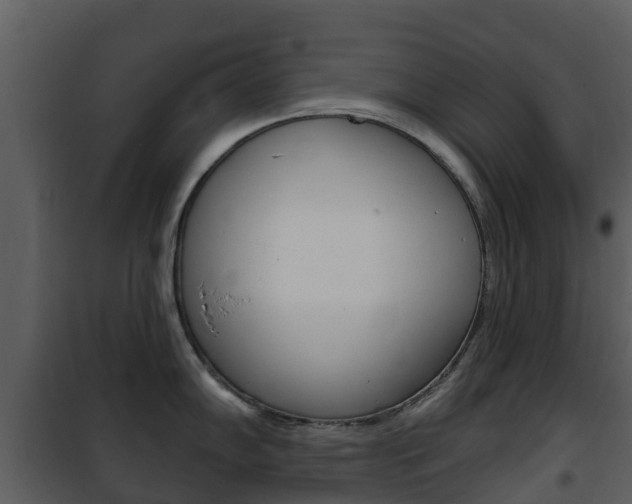 X0000101971102200807180721