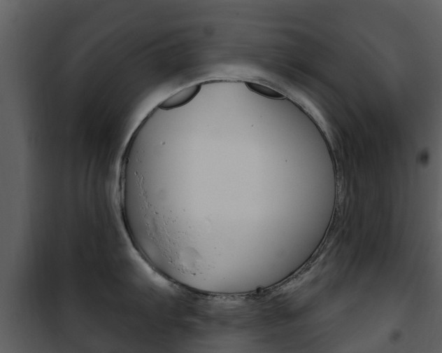 X0000101971103200807180721