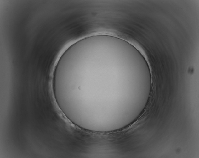 X0000101971104200807180721