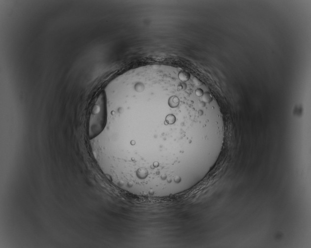 X0000101971105200807180720