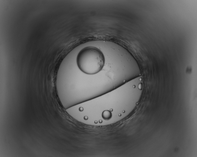 X0000101971106200807180720