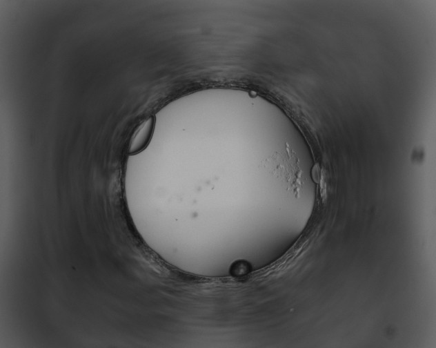 X0000101971107200807180720