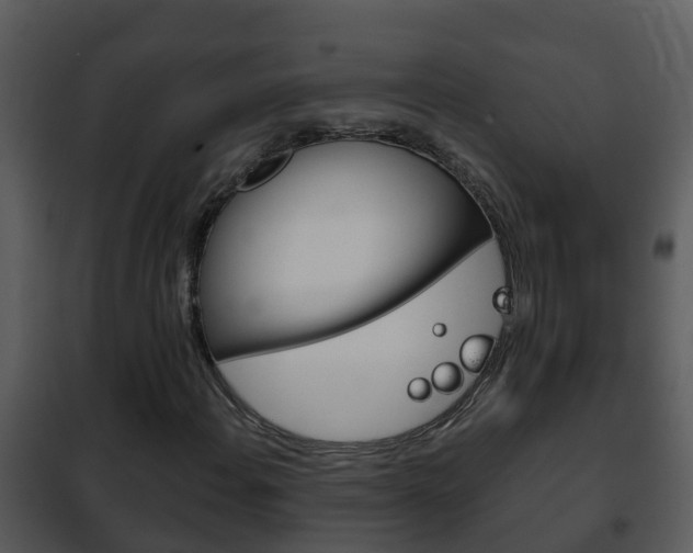 X0000101971108200807180720