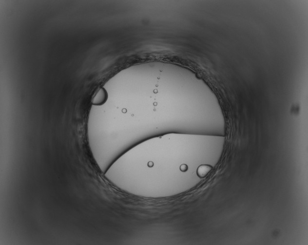 X0000101971109200807180720