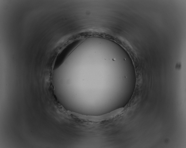 X0000101971110200807180720