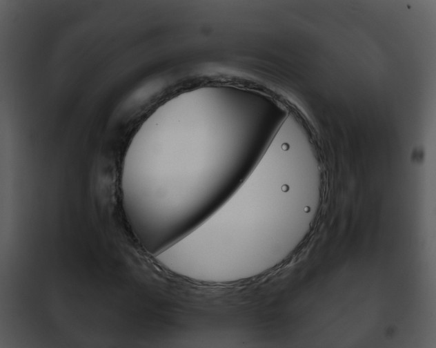 X0000101971111200807180720