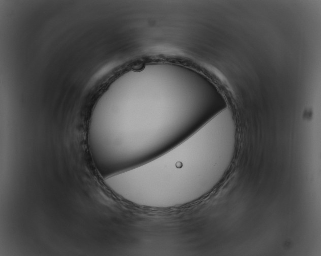 X0000101971112200807180720