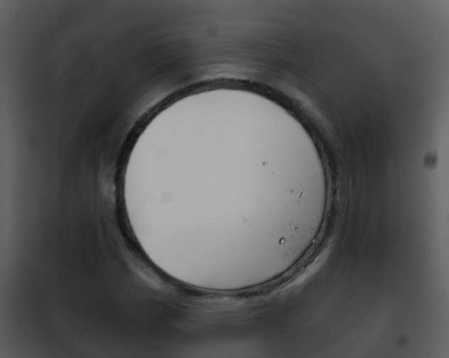 X0000101971113200807180720