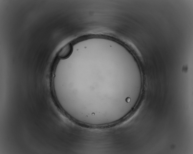 X0000101971114200807180720