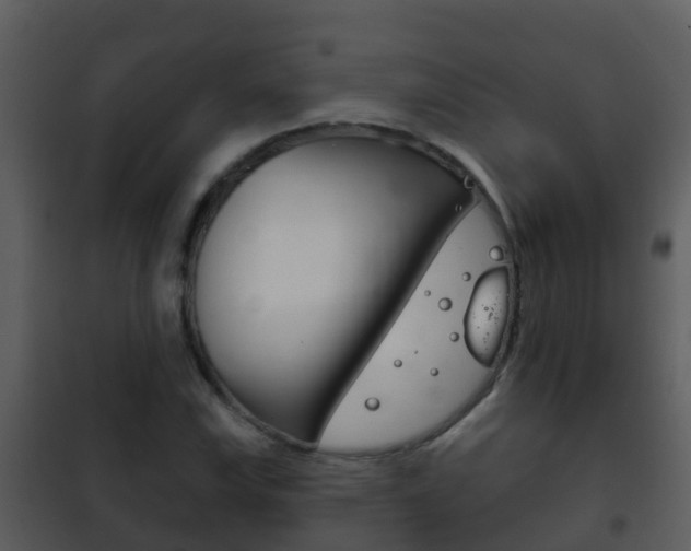 X0000101971115200807180720