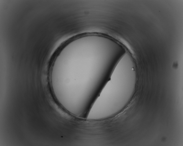 X0000101971116200807180720