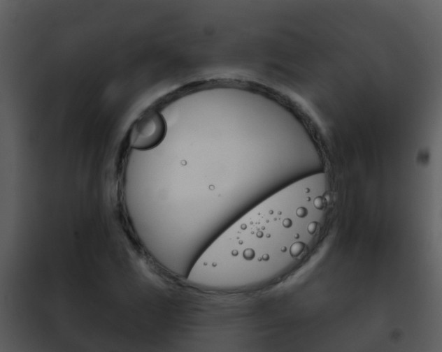 X0000101971117200807180720