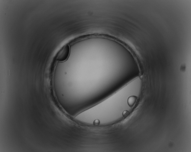 X0000101971118200807180720