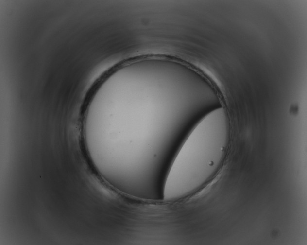 X0000101971119200807180720