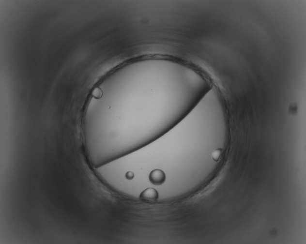 X0000101971121200807180720
