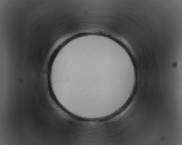X0000101971122200807180720