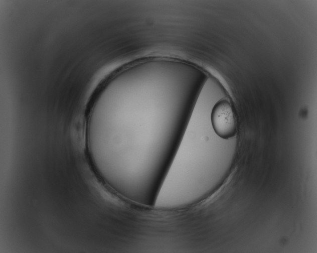 X0000101971123200807180720