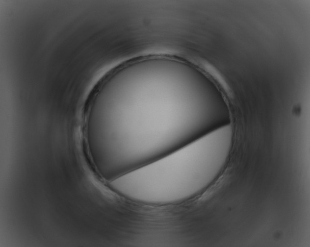 X0000101971124200807180720