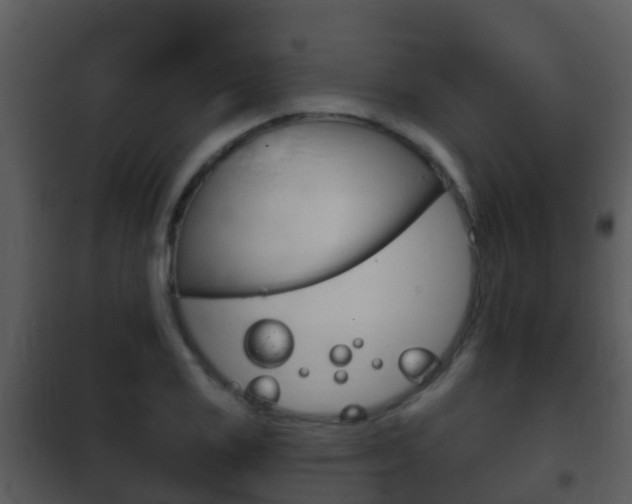 X0000101971125200807180720
