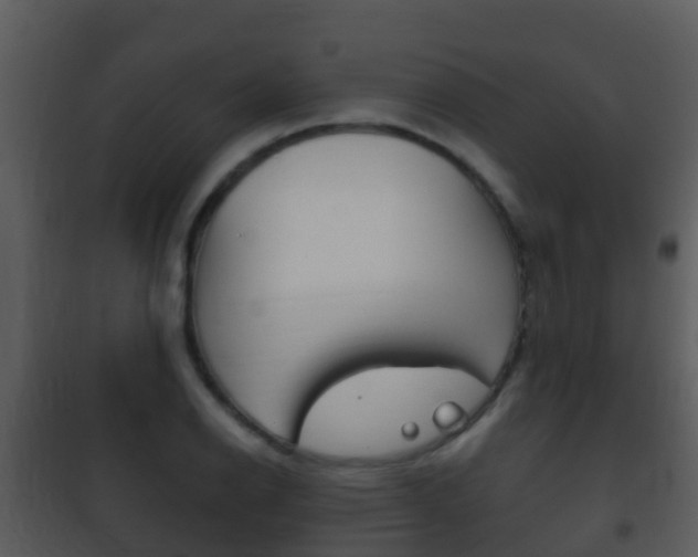 X0000101971126200807180720