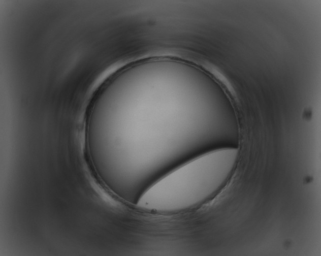 X0000101971127200807180720